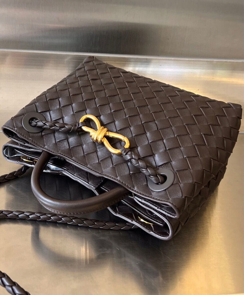 Bottega Veneta Small Andiamo